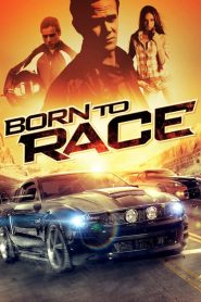 ดูหนังออนไลน์ฟรี BORN TO RACE (2011) ซิ่งเบียดนรก